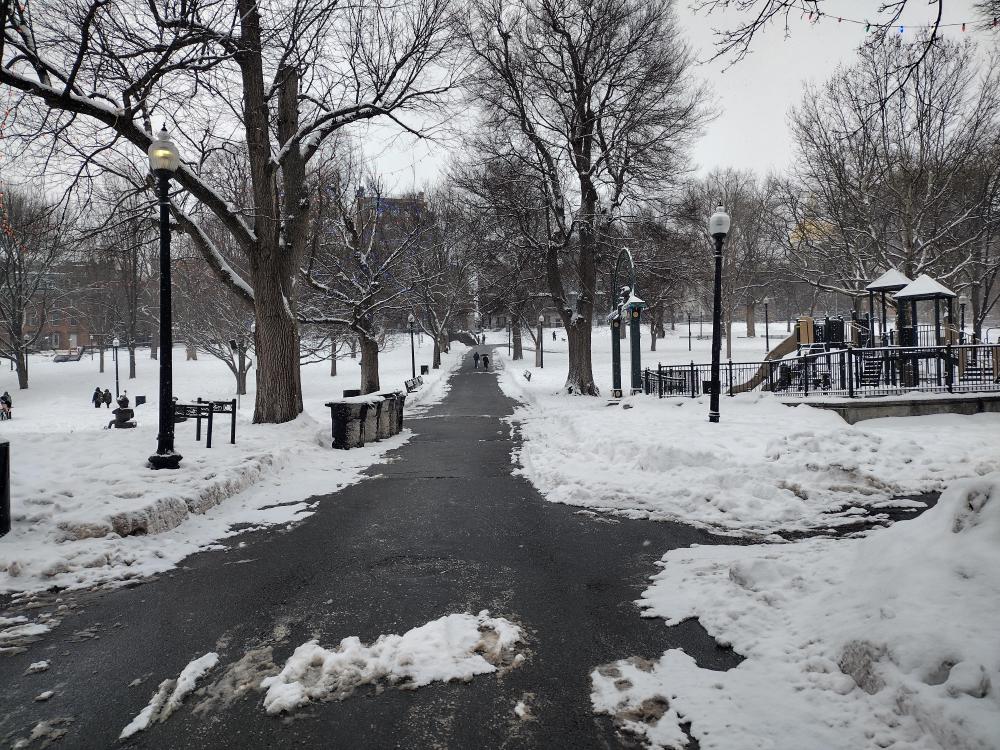 IMG_20260207_113558503_HDR.jpg
