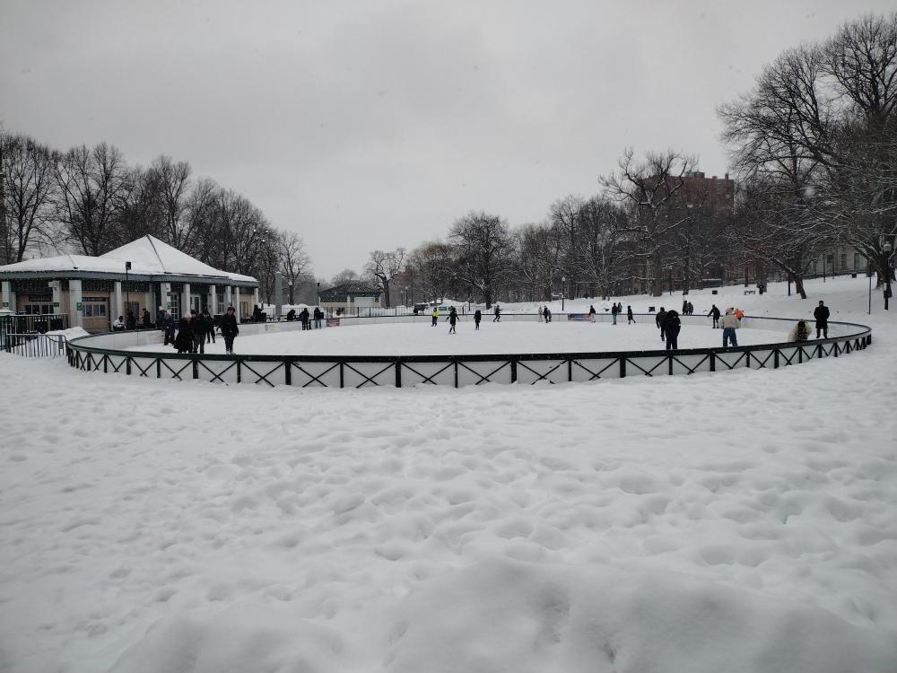 IMG_20260207_113633142.jpg
